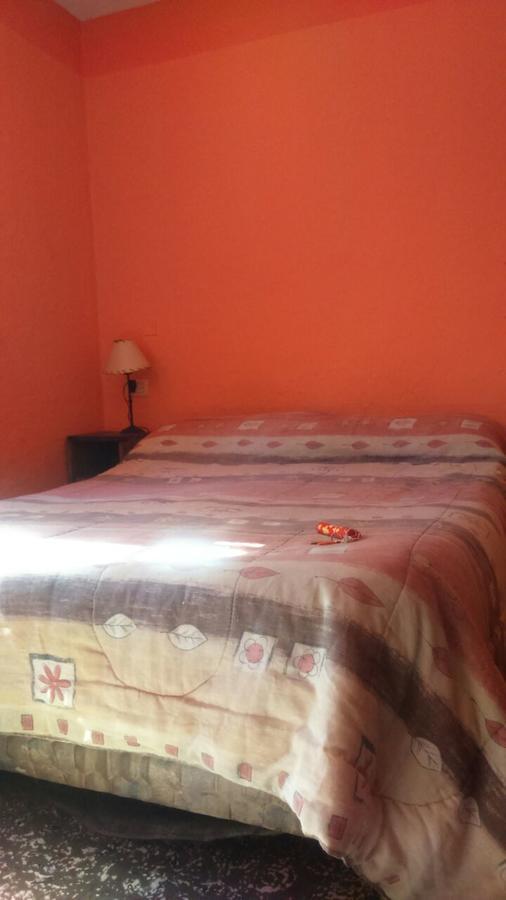 Hostel Internacional Mendoza Zewnętrze zdjęcie